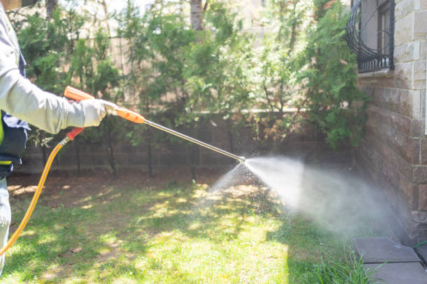 Outdoor Pest Control in Telluride, CO